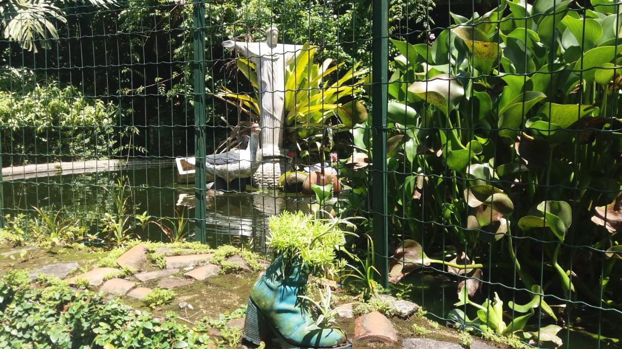 Apartamento Criatividade Na Serra Petrópolis Exterior foto